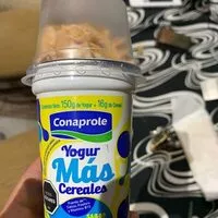 Mängden socker i Yogurt