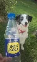 Mängden socker i Inca Kola Gaseosa X 500 ML.