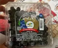 Mängden socker i Blueberries