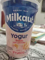 Mängden socker i Yogur batido con cereales - Frutilla