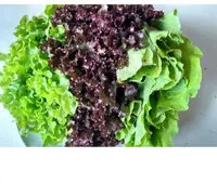 Mängden socker i Salada Trio 1 Un.