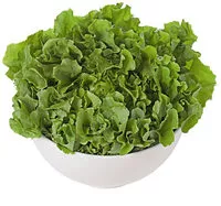 Mängden socker i Escarola Torre Forte