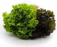 Mängden socker i Green Salada Primavera Hort Variad