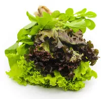 Mängden socker i Green Salada Familia Hort Variados