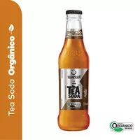 Mängden socker i Refrigerante Orgânico Mate Zero Sódio Wewi Tea Soda Garrafa 255ml