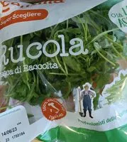 Mängden socker i Rucola