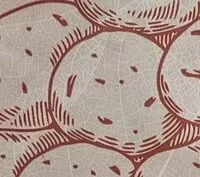 Mängden socker i Patate nuovo raccolto bio