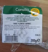 Mängden socker i Funghi pleurotus dgambati