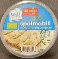 Mängden socker i Spalmabile cremoso all’erba cipollina