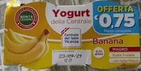 Mängden socker i Yogurt