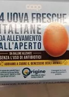 Mängden socker i Uova