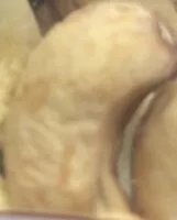 Mängden socker i anacardi tostati