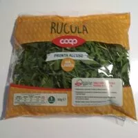 Mängden socker i Rucola
