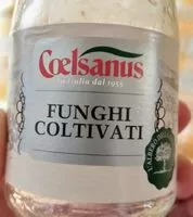 Mängden socker i Funghi coltivati