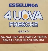 Mängden socker i Uova fresche grandi - NO Antibiotici