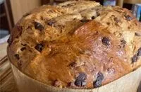 Mängden socker i panettone con goccie di cioccolato