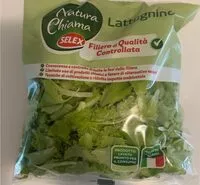 Mängden socker i lattughino