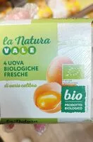 Mängden socker i Uova bio