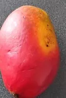 Mängden socker i Mango