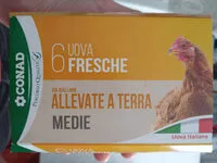 Mängden socker i Uova fresche da galline allevate a terra medie