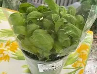 Mängden socker i Basilic