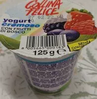 Mängden socker i Yogurt cremoso ai frutti di bosco