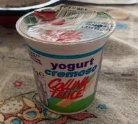 Mängden socker i Yogurt cremoso