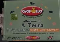 Mängden socker i Uova fresche allevate a terra