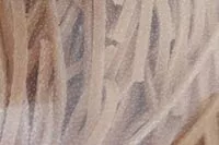 Mängden socker i Pasta