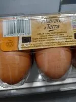 Mängden socker i Uova