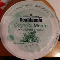 Mängden socker i Yogurt magro alla menta