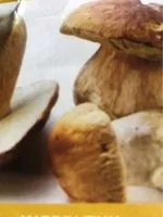 Mängden socker i Tagliatelle ai funghi porcini