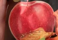 Mängden socker i Fruit e Veg