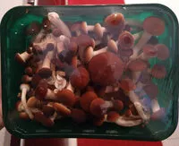 Mängden socker i Funghi pioppini