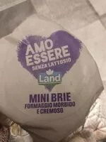 Mängden socker i Mini brie