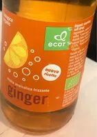 Mängden socker i Ginger