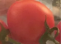 Mängden socker i Pomodorini mini