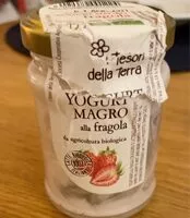 Mängden socker i Yagirt magro fragola