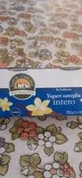Mängden socker i Yogurt vaniglia intero