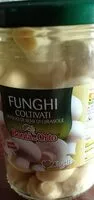 Mängden socker i Funghi coltivati