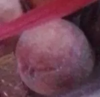 Mängden socker i Pesche