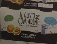 Mängden socker i Il Gusto Contadino Yogurt intero all'albicocca