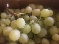 Mängden socker i Raisins verts