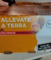 Mängden socker i Uova allevate a terra