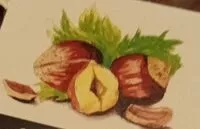 Mängden socker i Cacao pregiati