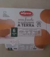 Mängden socker i Uova fresche da allevamento a terra XL