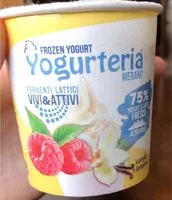 Mängden socker i Frozen yogurt