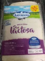 Mängden socker i Queso en lonchas sin lactosa
