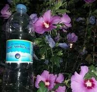 Mängden socker i Agua mineral natural