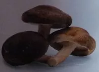 Mängden socker i Setas Laumont